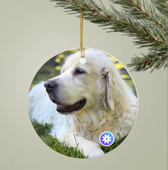 Scout's photo ornament hanging on a pine branch