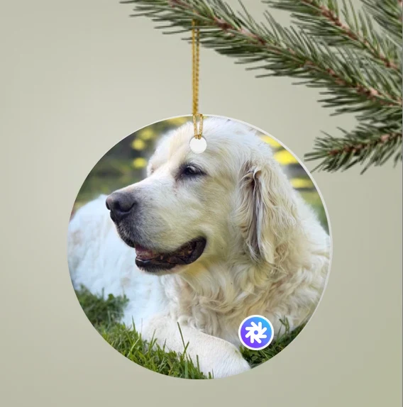 A round photo ornament on a branch