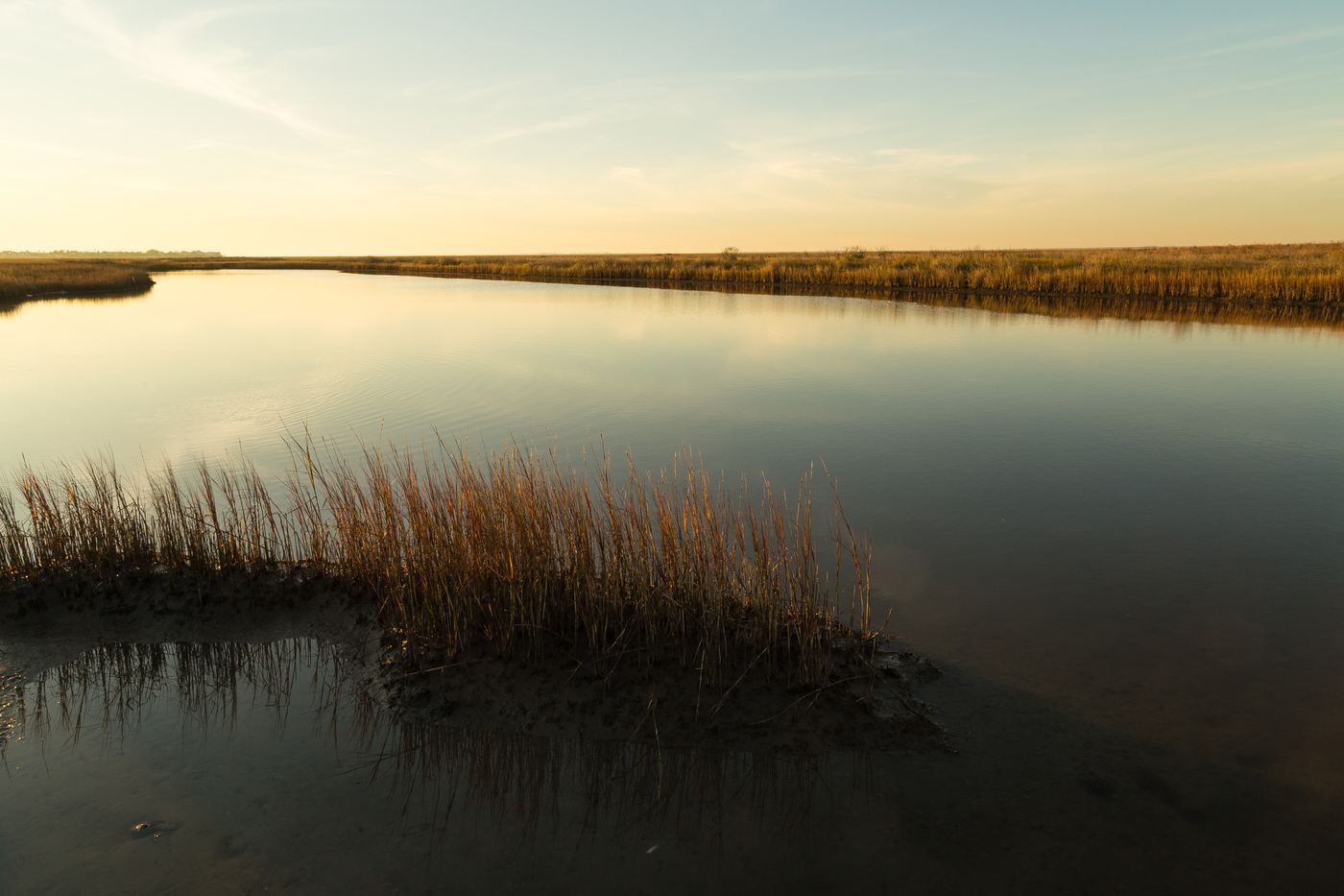 Salt marsh at sunset, the cover of the Common Tide story page
