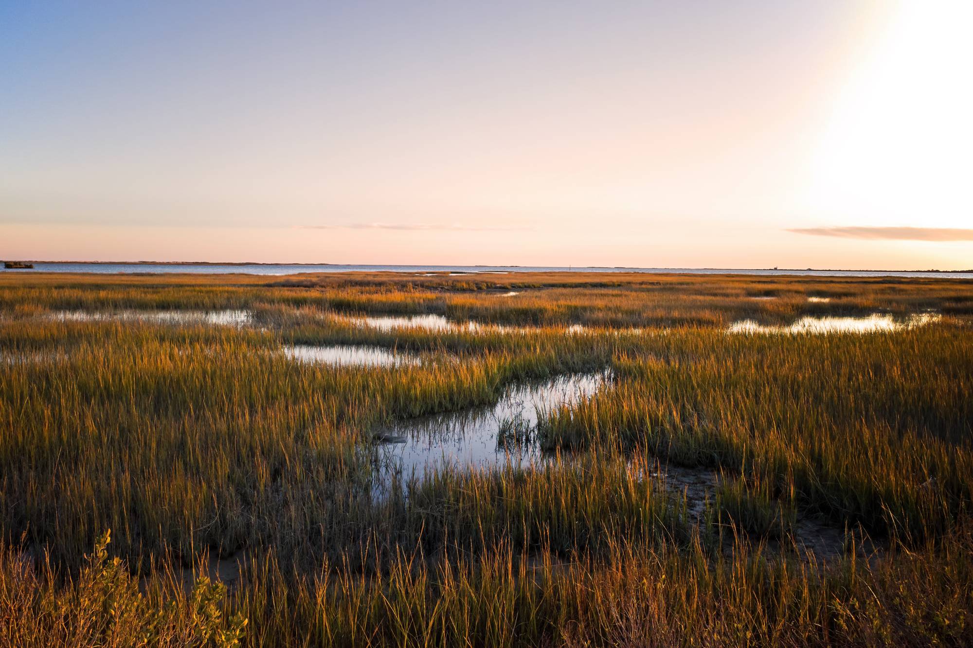 Salt marsh at dusk
