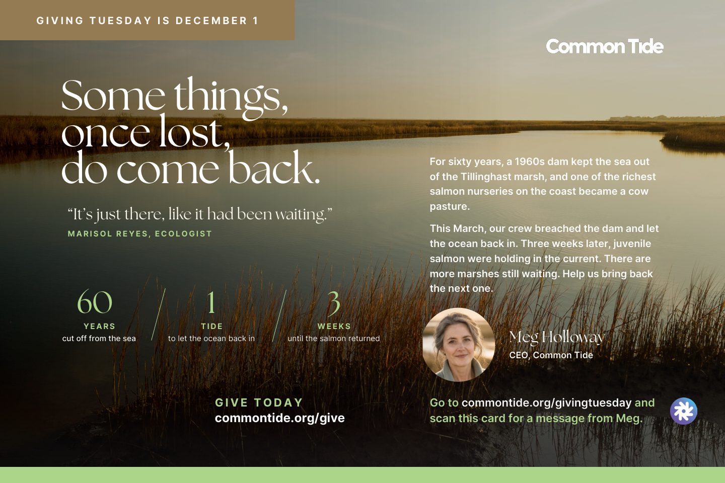 Common Tide Giving Tuesday appeal card: "Some things, once lost, do come back."