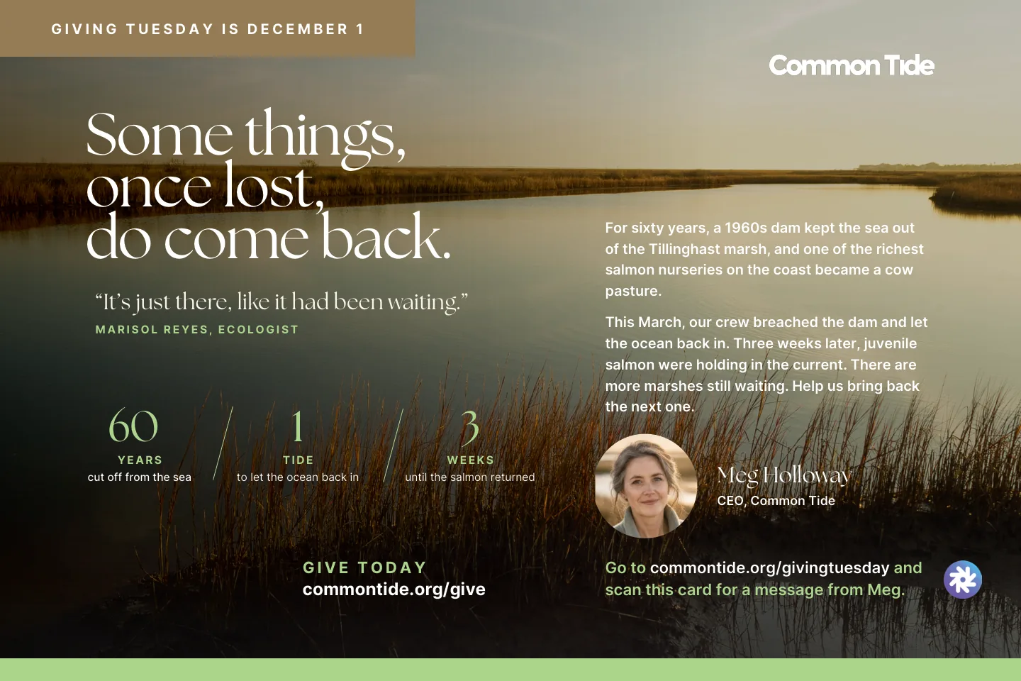 A Giving Tuesday postcard from Common Tide, a demo nonprofit, with a photo that plays a video