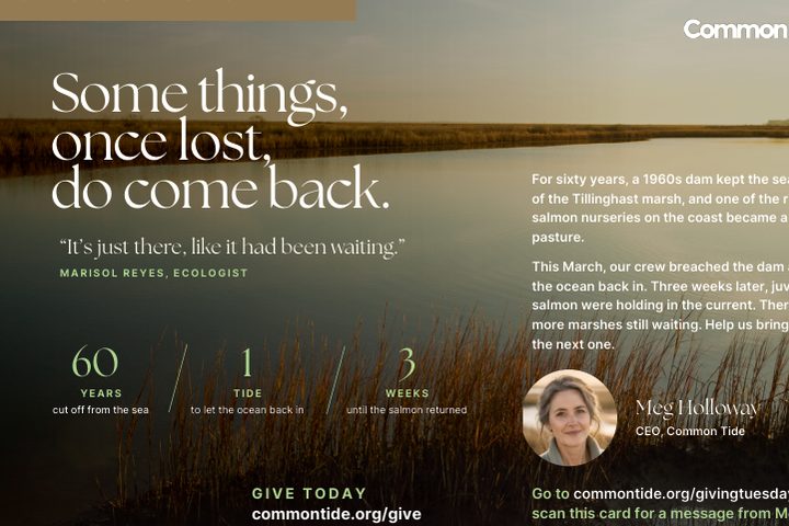 A phone pointed at the printed Common Tide appeal card